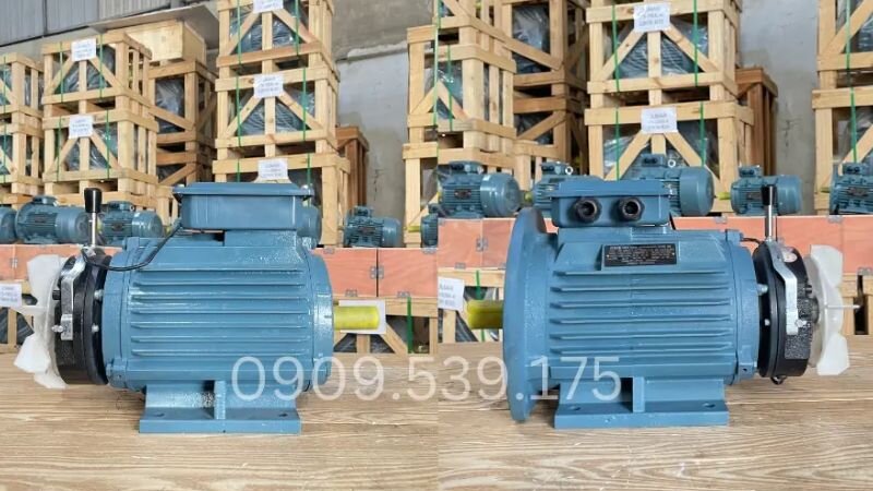 Động cơ điện có phanh là gì?