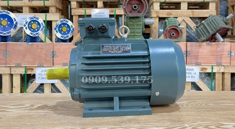 Các tiêu chuẩn kỹ thuật để lựa chọn các loại động cơ điện