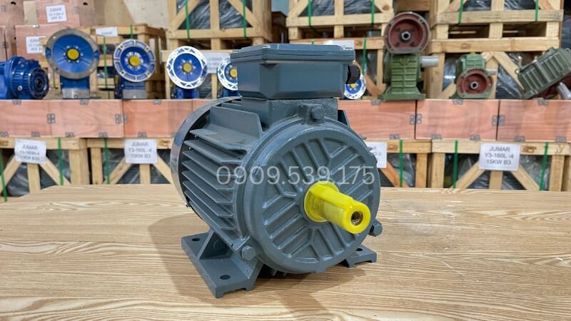Cấu trúc lắp B3: Cố định thiết bị bằng bu-lông qua 4 chân đế đúc liền xuống bệ máy