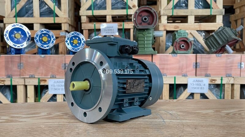Cấu trúc lắp B35: Kết hợp giữa mặt bích và chân đế, chuyên ứng dụng cho các hệ thống tải trọng nặng.