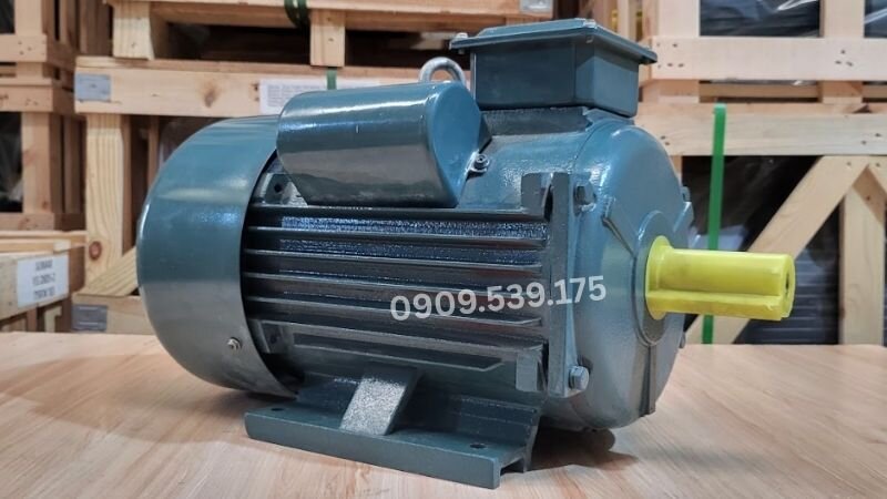 Hình ảnh động cơ điện tại Thành Thái Motor.