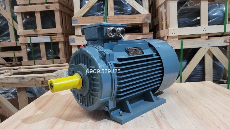 Các thông số về tốc độ vòng quay, kiểu lắp (B3, B35) và cấp bảo vệ IP ghi trên tem motor