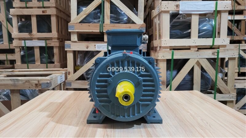 Sử dụng chổi cọ kết hợp vòi xịt khí nén hoặc dung dịch hóa chất chuyên dụng để làm sạch các mảng bám cơ bản trên vỏ motor
