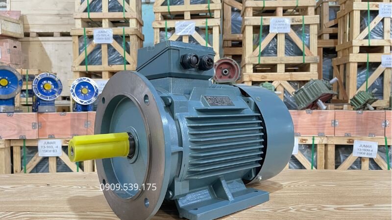 Động cơ điện mới hoạt động bền bỉ, hiệu suất cao tại Thành Thái Motor.